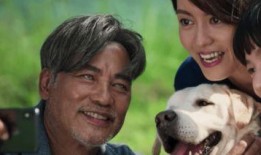 人狗奇缘在线观看,跨越物种的深情羁绊